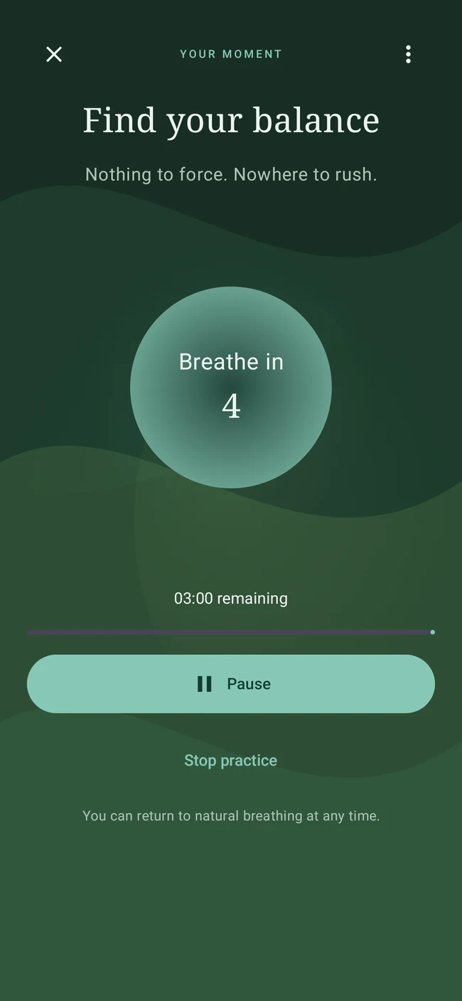 BreathWave guided practice screen with a breathing circle and phase cues in night appearance